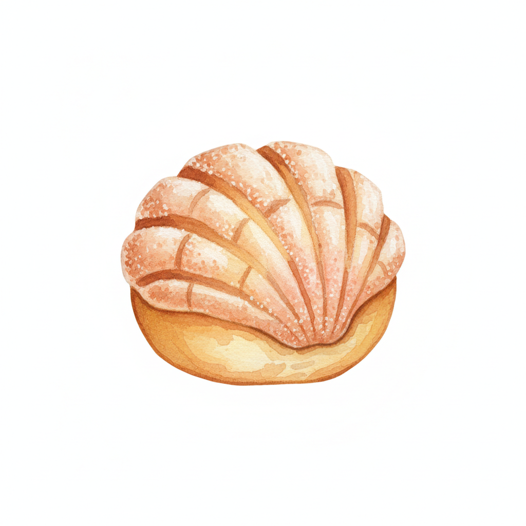 Mini Conchas