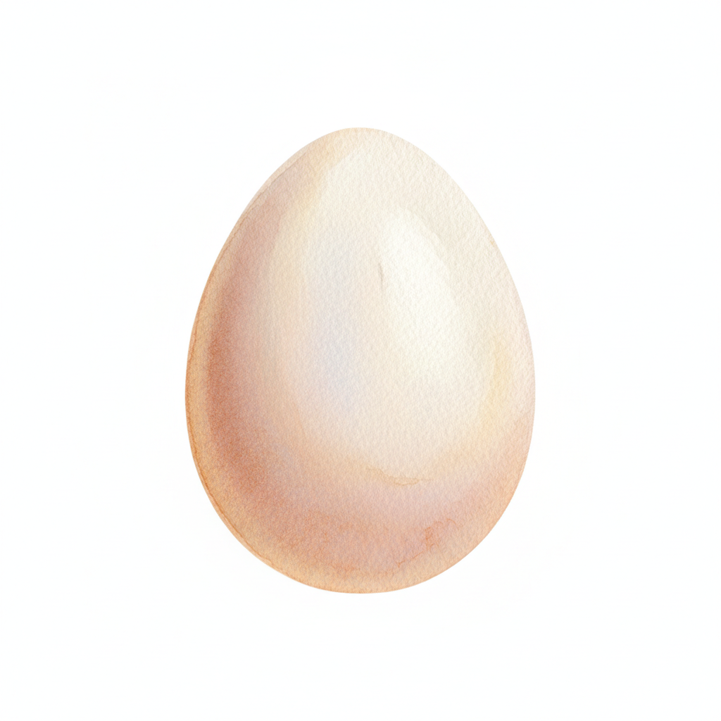 Superior Extra Large Grade AA Eggs